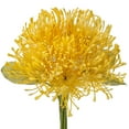thumbnail image 3 of 6PCS Artificial Chrysanthemum Flowers 4'' Fake Pincushion Spider Mums for Home Vase Décor, Centerpiece, Wedding Bouquet(Yellow), 3 of 7