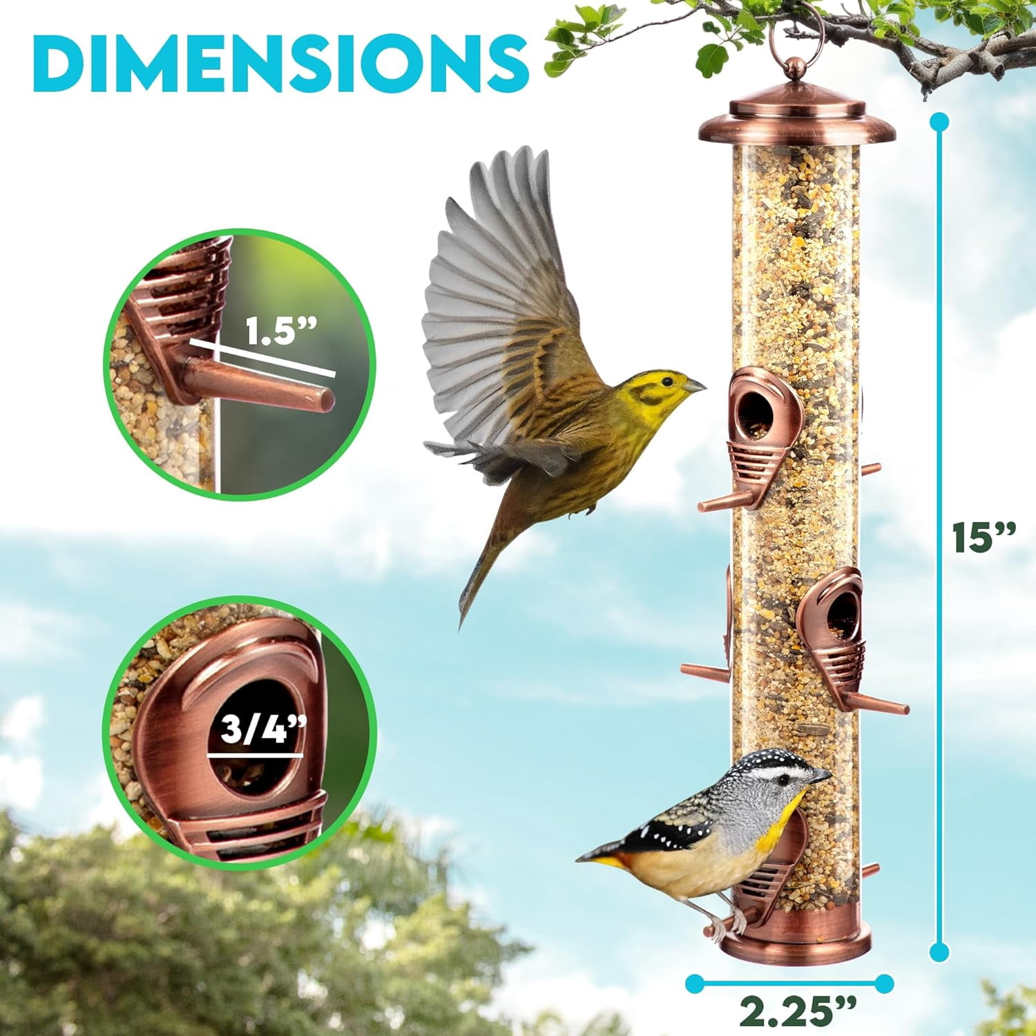 Bird Feeders for Outdoors (Green) Squirrel Proof Hanging Bird Feeder with Locking Lid & Adjustable Hanger, Chew-Proof, Weather Resistant 15 Inches 6 Port