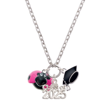 Delight Jewelry Resin Hot Pink & Black Ladybug Sweetie - Silver-tone Class of 2025 Graduation Zoey Necklace, 28"