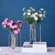 thumbnail image 1 of Decoración hogareña Gwong florero de flores llamativo geométrico diseño hueco hierro transparente flores hidropónico decoración para el hogar Gwong 21076199, 1 of 6