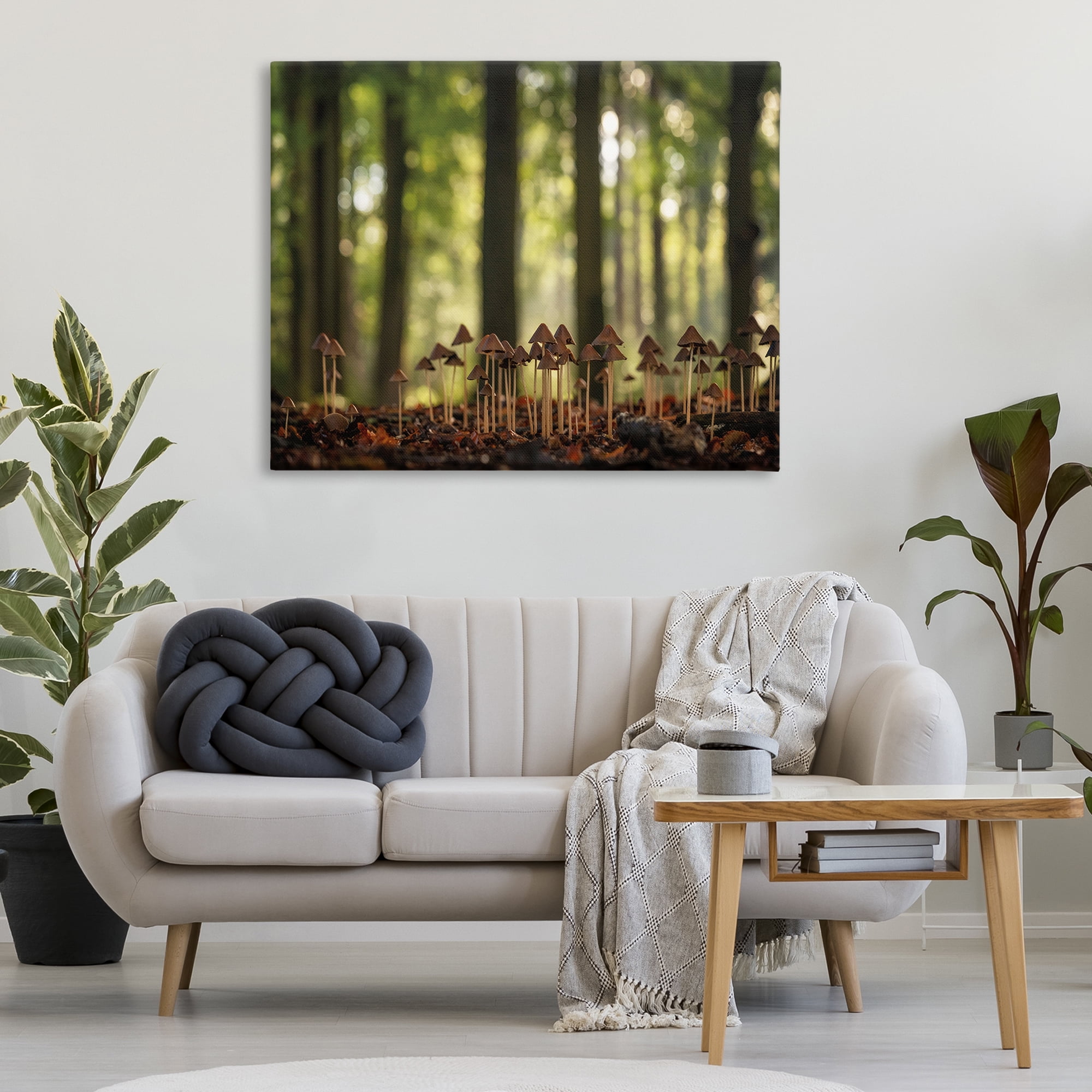 Stupell Industries Mushroom Sprouts in Forest Botanical & Floral Photography Gallery Wrapped Canvas Art Print Wall Art, 48 x 36