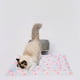 thumbnail image 5 of Almohadilla Térmica para Mascotas, para Gatos y Perros | Tapete de Vellón Grueso y Autocalentable | Suave, Silencioso y Lavable | Cama Térmica Portátil de 50 X 40 Cm para Cachorros, Gatitos, Perros P, 5 of 6