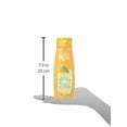 thumbnail image 2 of Cepillos para bajo Fine Ladies Wide Comb 1 EA, 2 of 2