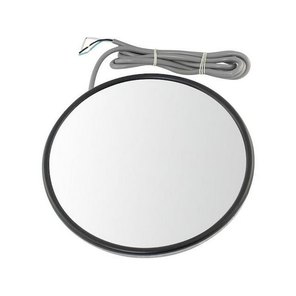 Convex Mirror School Bus