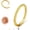 Gold-Braided, variant on Hinged Nose Rings Hoops - 316L Surgical Steel Twisted Seamless Clicker Cartilage Earrings Septum Rings Jewelry Conch Piercing Tragus Rook Daith Helix for Women Gold/Black/Silver 16G/18G