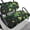 Clover, variant on Pzuqiu Clover Pattern Golf Cart Seat Cover Washable, Fit for Outdoor Golf Carts Suitable for Club Car Precedent Ezgo Golf Cart