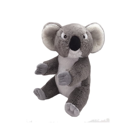 Wild Republic Ecokins Mini Koala Stuffed Animal  8 Inches price history on PriceWatchPro