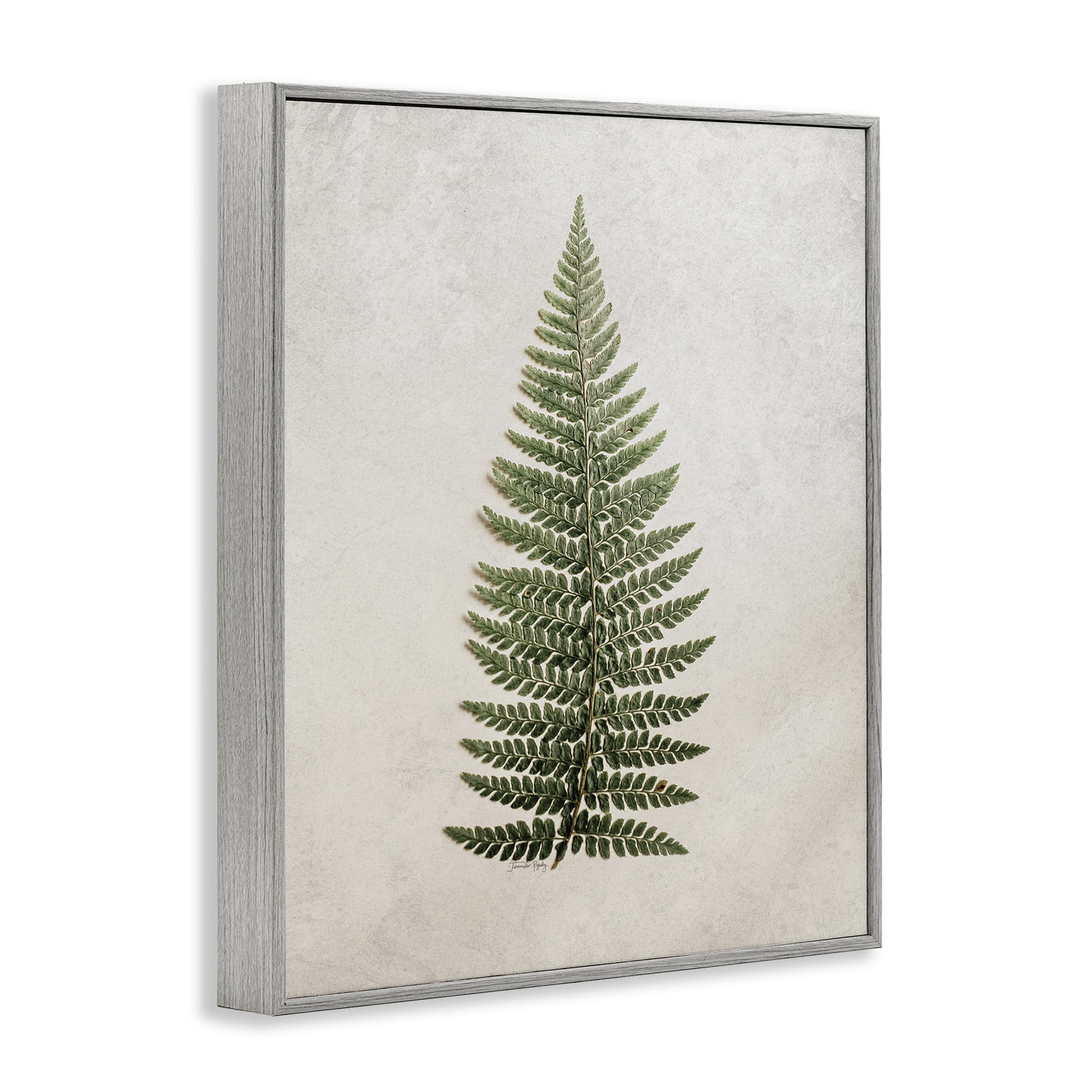 Stupell Industries Detailed Fern Leaf Botanical & Floral Painting Gray Framed Art Print Wall Art, 24 x 30