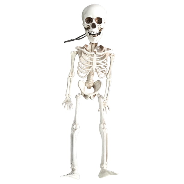 Esqueleto humano realista de 40 cm para decoración de Halloween, casa, bar