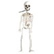 thumbnail image 1 of Esqueleto humano realista de 40 cm para decoración de Halloween, casa, bar, 1 of 8