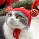 thumbnail image 4 of Adorable gorro para mascotas para gatos y perros: gorro con babero tradicional para divertirse en el aseo y para sesiones fotográficas. Amuleto chino de la suerte para gatos, 4 of 8