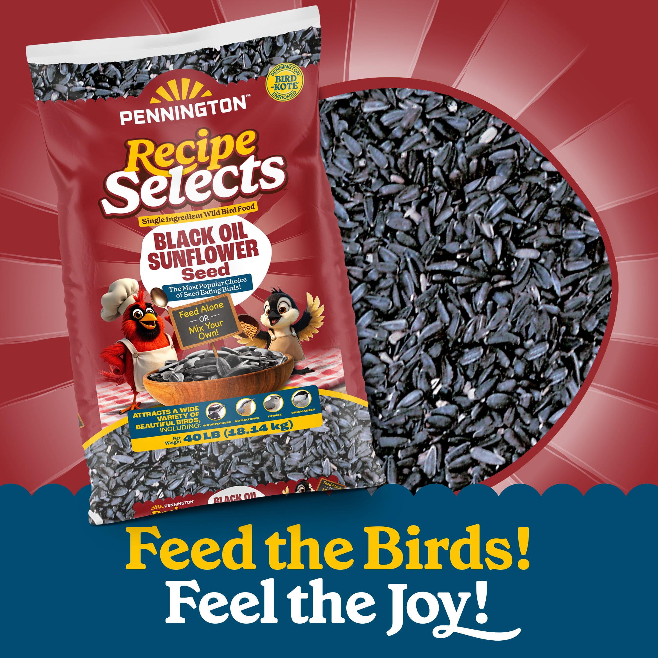 Pennington Recipe Selects Black Oil Sunflower Seed Dry Wild Bird Feed, Bird Food, 40 lb. Bag