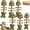 6*A, variant on 6 PCS Catnip and Silvervine Chew, 7 in Fish Shape Cat Dental Toy for Chewing, Biting, Teeth Cleaning, Boredom Relief & Interactive Play