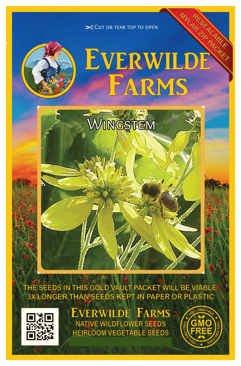 Everwilde Farms 1 Oz Wingstem Native Wildflower Seeds Gold Vault
