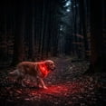 thumbnail image 6 of LED Dog Collar, Light Up Dog Collar Adjustable USB Rechargeable Super Bright Safety Light Glowing Collars for Dogs, 6 of 6