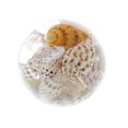thumbnail image 4 of Cuentas de Caracol Zulema de Resina para Manualidades DIY, 4 of 7