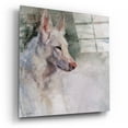 thumbnail image 2 of Epic Art 'White Shepherd Wonder' by Robert Campbell, Acrylic Glass Wall Art, 12"x12", 2 of 8