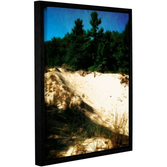 ArtWall Kevin Calkins "Shadows in the Dunes" Gallery-Wrapped Floater-Framed Canvas