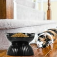 Jrocdr Elevated Cat Bowl Adjustable Black & White Detachable Raised Cat