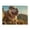 500 Pieces, variant on 500-Piece Wooden Jigsaw Puzzle for Adults - Bulldog On Mountain Peak , Challenging Family Art Project, Unique Home Wall Decor Gift