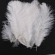 thumbnail image 5 of 40 Piezas Blanco Avestruz Natural Pluma 20-25cm Boda DIY, 5 of 5