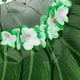 thumbnail image 5 of BRIGHTFUFU Falda hawaiana de hojas Ti Leaf, falda de hierba verde con flores artificiales para fiestas luau en la playa., 5 of 8