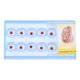 thumbnail image 3 of Decoración De Dientes Decoración De Dientes De Cristal Decoración De Uñas Decoración De Arte De Uñas Herramientas De Arte De Uñas 10 Unids/caja Diente Dental Transparente ANGGREK Otros, 3 of 8
