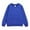 C24-Blue, variant on Hessimy Boys' crew neck sweatshirts - Soft Fleece Sherpa Lined For Boys Cute Oversized Pattern printing sport pullover essentials solid colour (Grey,5-6 Years)