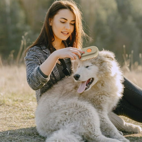 Blasgw 3-in-1 Rechargeable Pet Grooming Brush with Steam Spray - Ideal for Dogs and Cats New Rechargeable 3 In1 Steamy Pet Brush Cleanser Pet Comb With Steam Spray Comb Pet Hair Brush Coffee