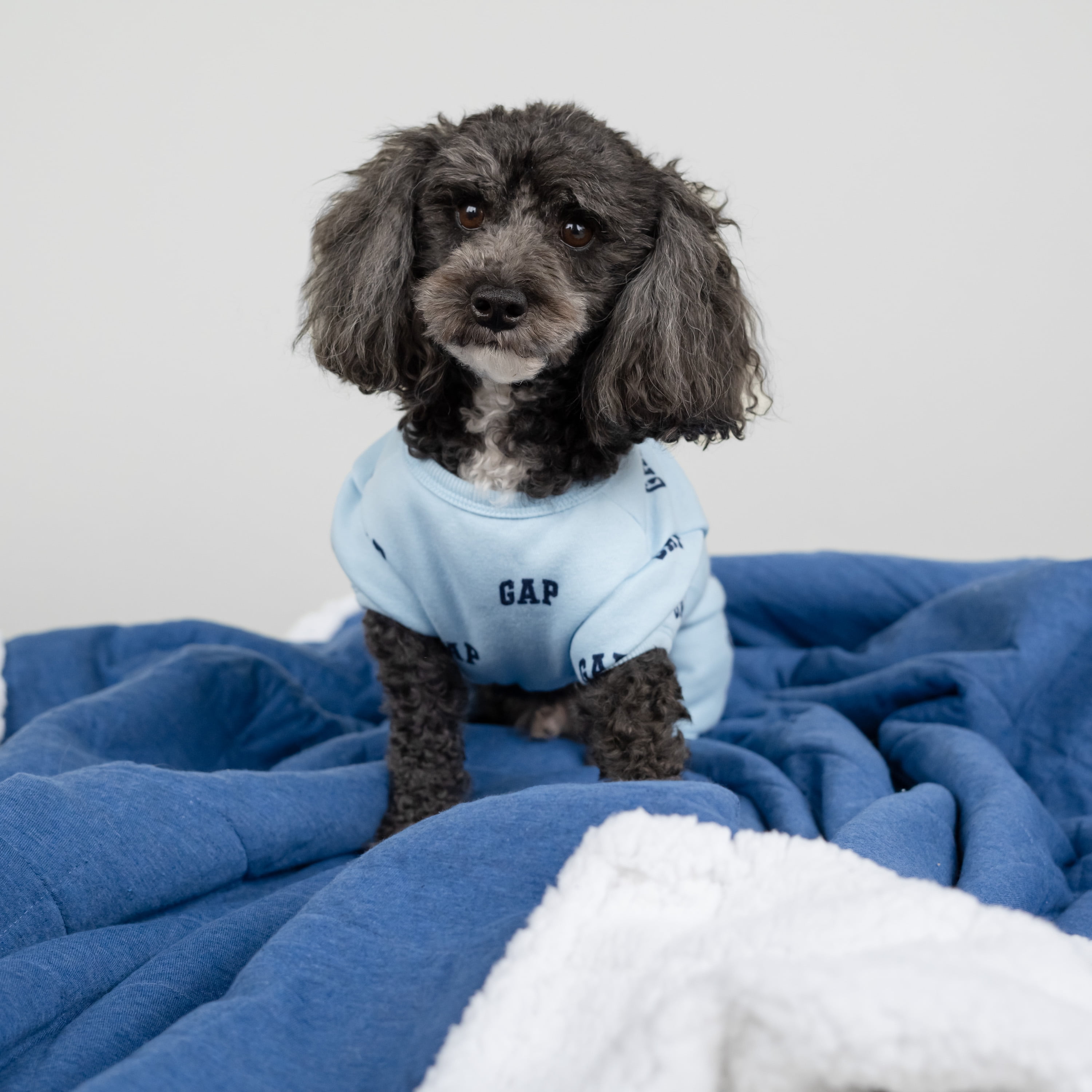 Winter pjs kmart sale