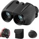 thumbnail image 1 of Binoculares LANNMXG 10x25 Compactos Plegables con Visión Nocturna para Adultos y Niños, 1 of 2