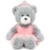 Valentine 16" Lovely Gray Princess Teddy with Pink Tutu Dress