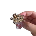 thumbnail image 3 of Pinza para el pelo de acetato XINYU tortuga marina paquete de 2, 3 of 6