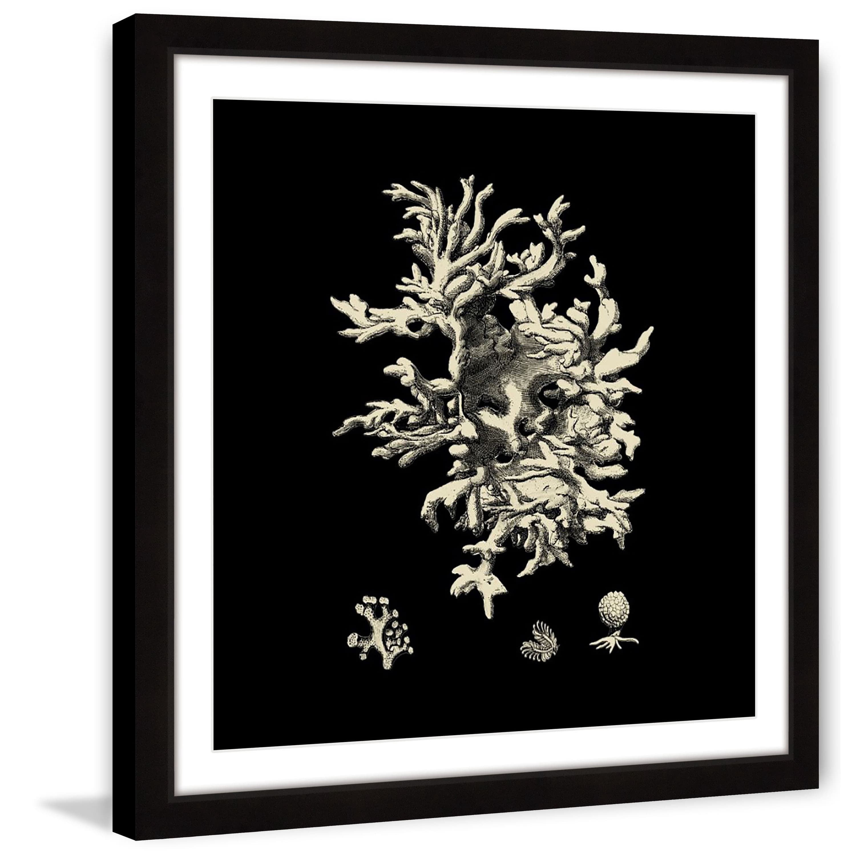 Marmont Hill "Black & Tan Coral III" Framed Painting Print