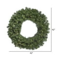 thumbnail image 2 of Vickerman 42" Douglas Fir Artificial Christmas Wreath, Warm White LED Lights, 2 of 2