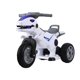 thumbnail image 1 of moto montable dinosaurio TREX, 1 of 6