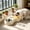 Beige, variant on Double Dog Cat Bowls, Pet Water and Food Bowl with Automatic Water Dispenser Bottle Detachable Stainless Steel Bowl, Gravity Water Feeder Bowl No-Spill for Cats Dogs Puppy Kitten Rabbit