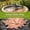 #01 Maple Leaf, variant on Bird Bath Copper Disk,Bird Bath Purification Disk 0.6mm Reinforced 99.99% Pure Copper Cleaning Disk with 3-Point Support,Fits Outdoor Birdbath & Bowl by IHHXPRO, Hummingbird B