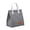 insulated bag, variant on rge Capacity Insulated Lunch Bag, Portable Bento Bag With Multiple Compartments, Stylish Work School Picnic Tote