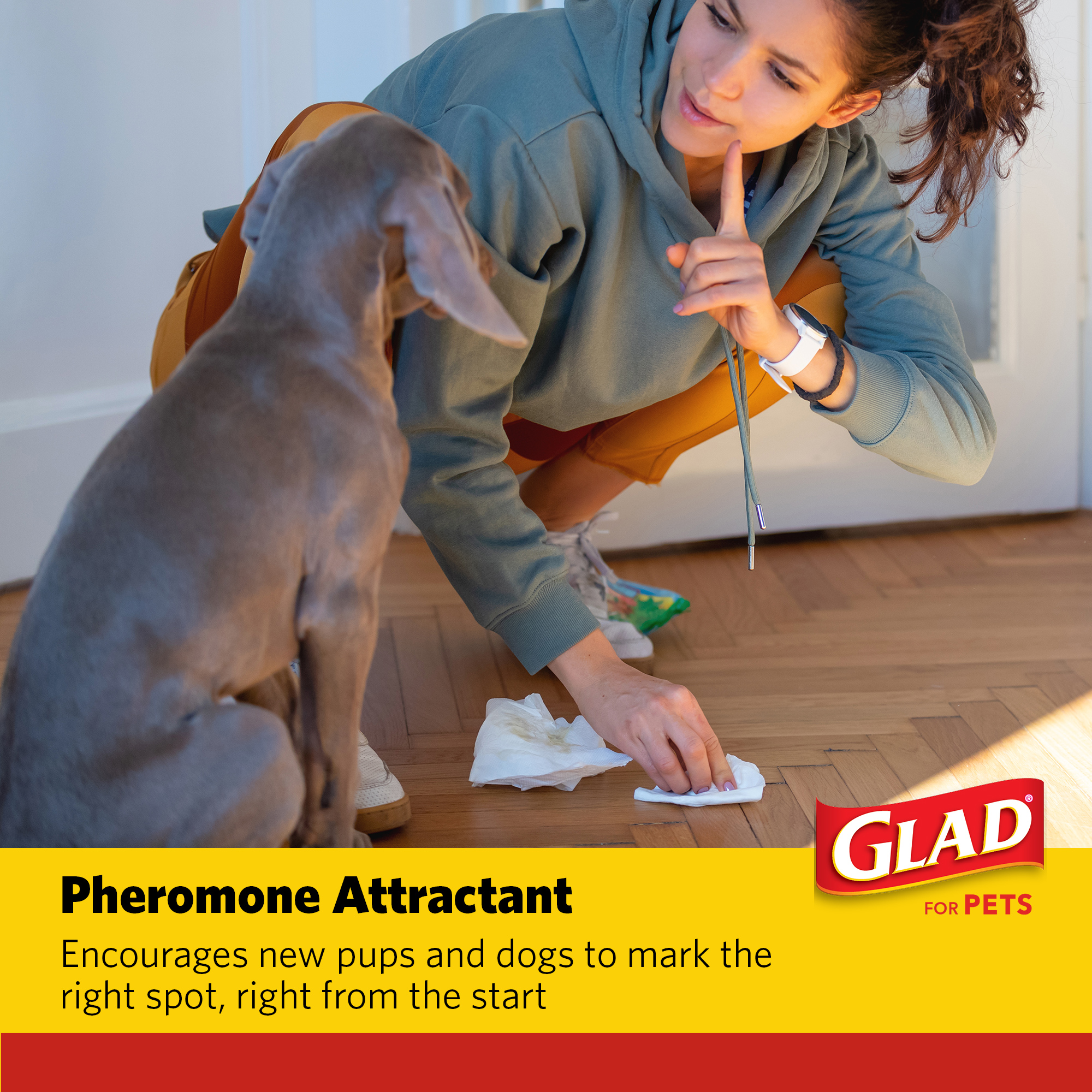 Glad Activated Charcoal Training Pads, 23" x 23", 100 Count photo 5