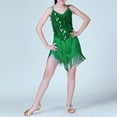 thumbnail image 2 of XQYLOS Girls Latin Dance Dress Set, Sequined Fringe Tassel Skirt & Sleeveless Top, Shiny Stage Performance Outfit for Recital Competition Party, 2 of 6