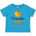 thumbnail image 3 of Inktastic Clearwater Florida Orange in Heart Boys or Girls Baby T-Shirt, 3 of 5