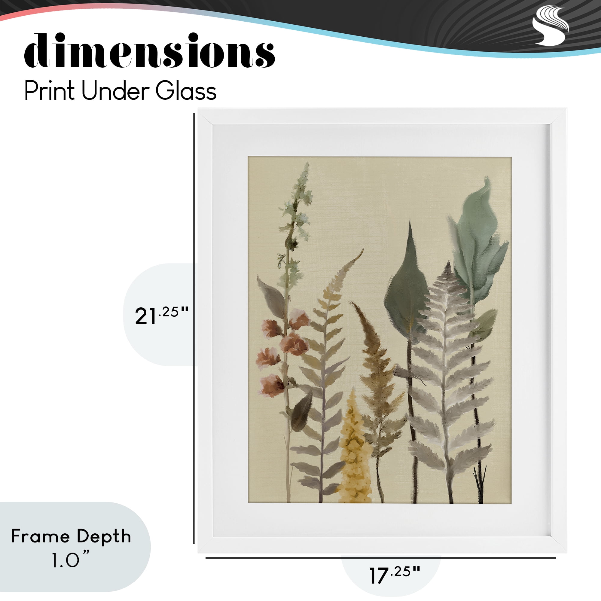 Stupell Industries Fall Botanicals Forest Ferns White Framed Print Under Glass, design by Elizabeth Medley
