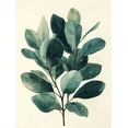 thumbnail image 1 of Qisvanset 12x16 Inch 2D Flat Framed Canvas Art, Sage Green Vintage Botanical Watercolor Nursery Home Wall Art, 1 of 5