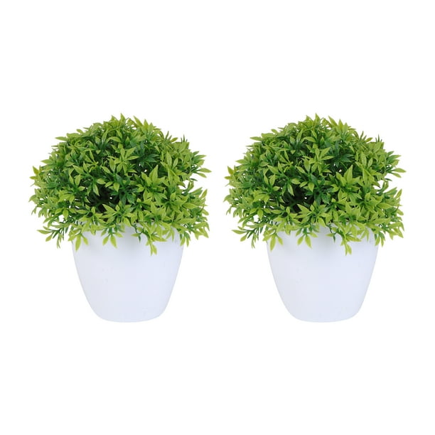 Plant Plants Greenery Potted Bonsai Artificial Fake Decor Tree Boxwood