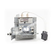 Optoma HD27 Projector Lamp with Module