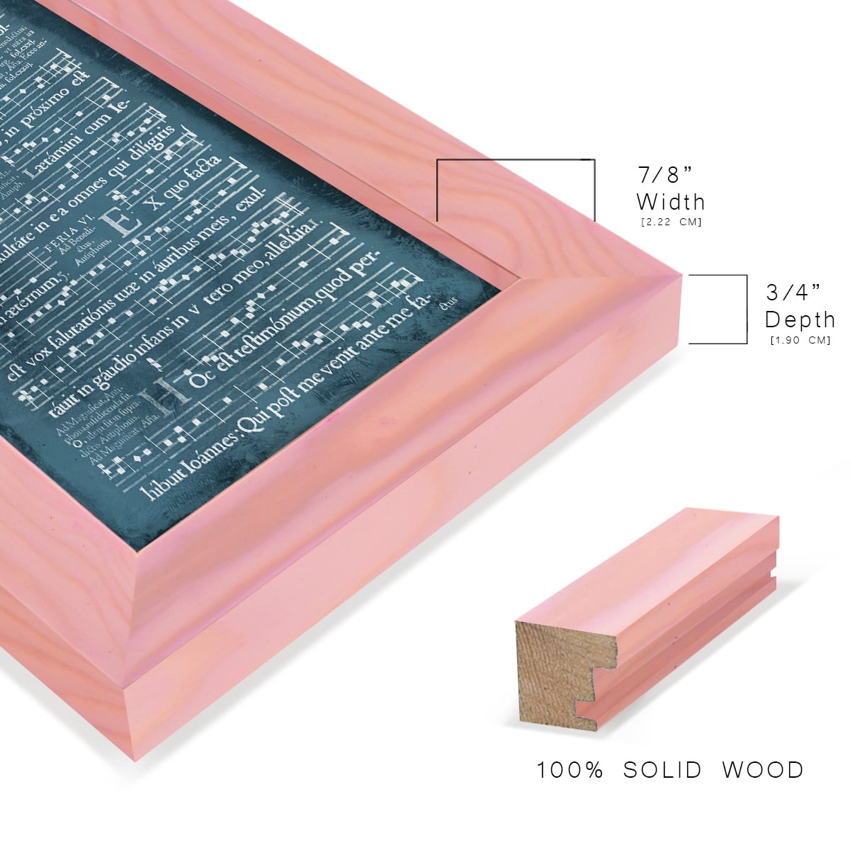 Graphic Songbook I -Framed Print w/glass-Sunset Pink