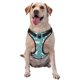 thumbnail image 1 of Fotbe Cartoon Funny Goose Arnés para Perro con Estampado –Chaleco Ajustable Acolchado con Asa de Control para Perros Grandes-X-Large, 1 of 6