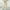 Beige, variant on QUINDOS Clearance Pants for Women Under $10 Wide Leg High Waisted Long Casual Pants Button Relaxed Fit Trousers with Pockets