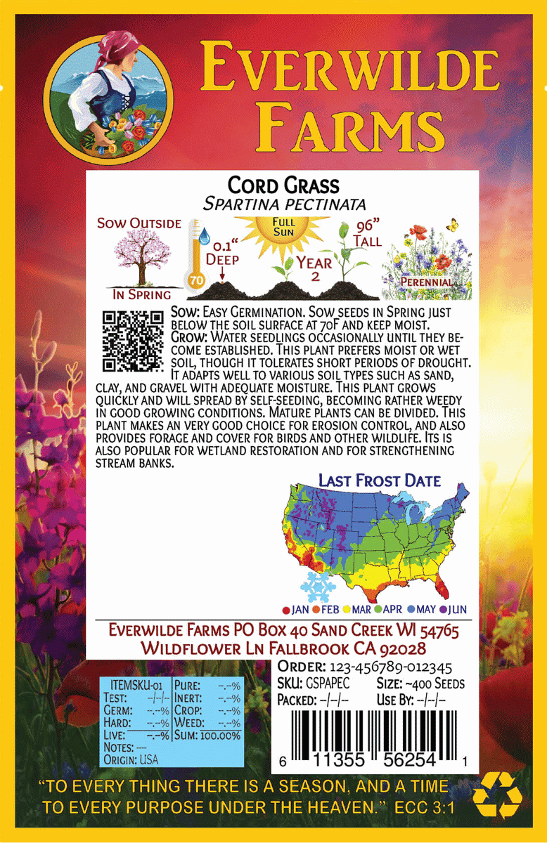 Everwilde Farms - 1 lb Cord Grass Native Grass Seeds - Gold Vault Bulk Seed Packet